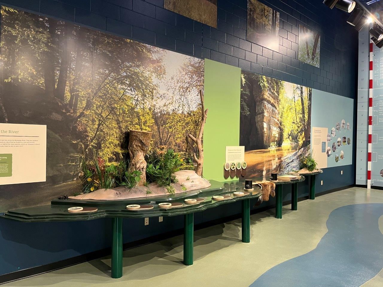 North wall right  — Arlington Heights, IL — Stevens Exhibits and Displays Inc
