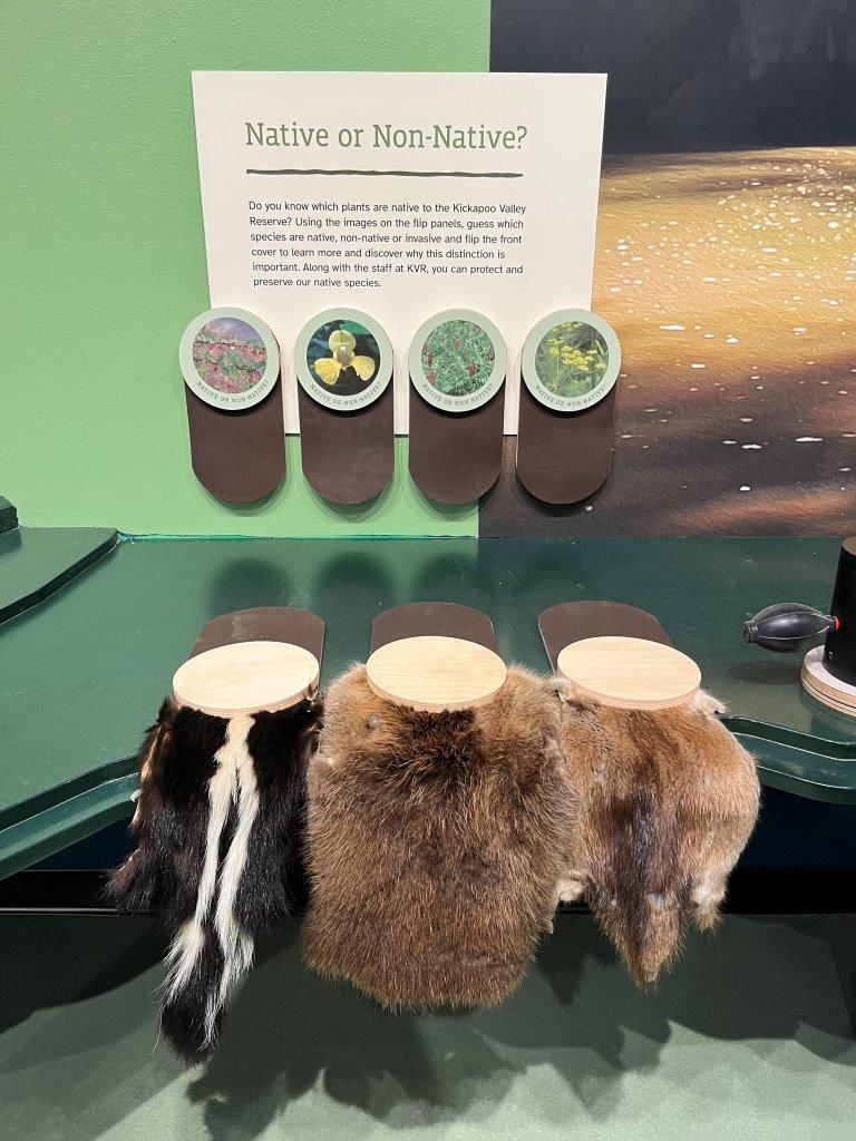 Closet and rock wall — Arlington Heights, IL — Stevens Exhibits and Displays Inc