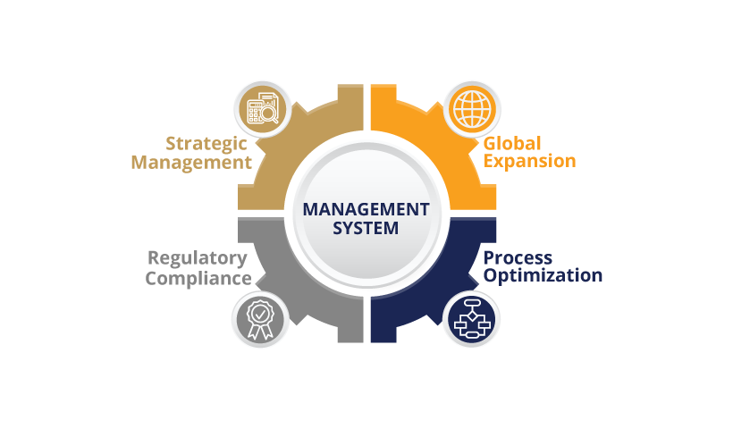 Management Systems infographic