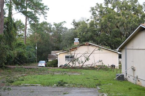 a house with a fallen tree in front of it