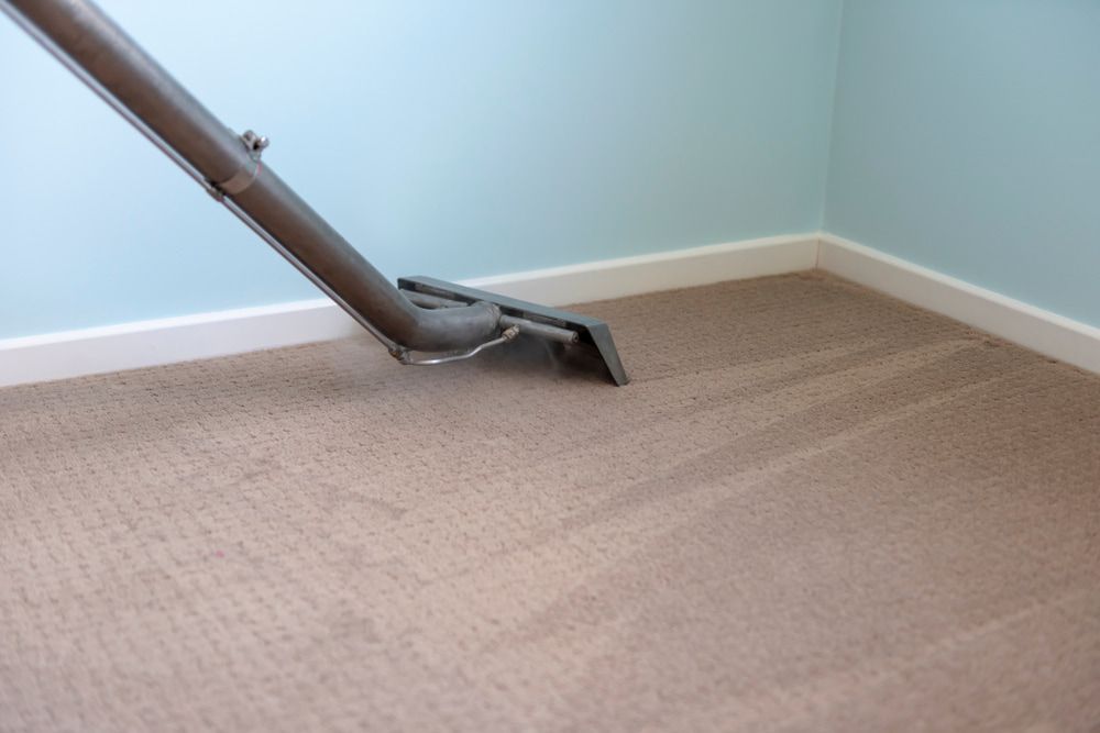 A Vacuum Cleaner Is Cleaning a Carpet in A Room — Turbo Clean in Tuncurry, NSW