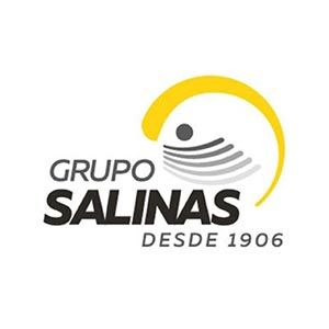 GRUPO SALINAS