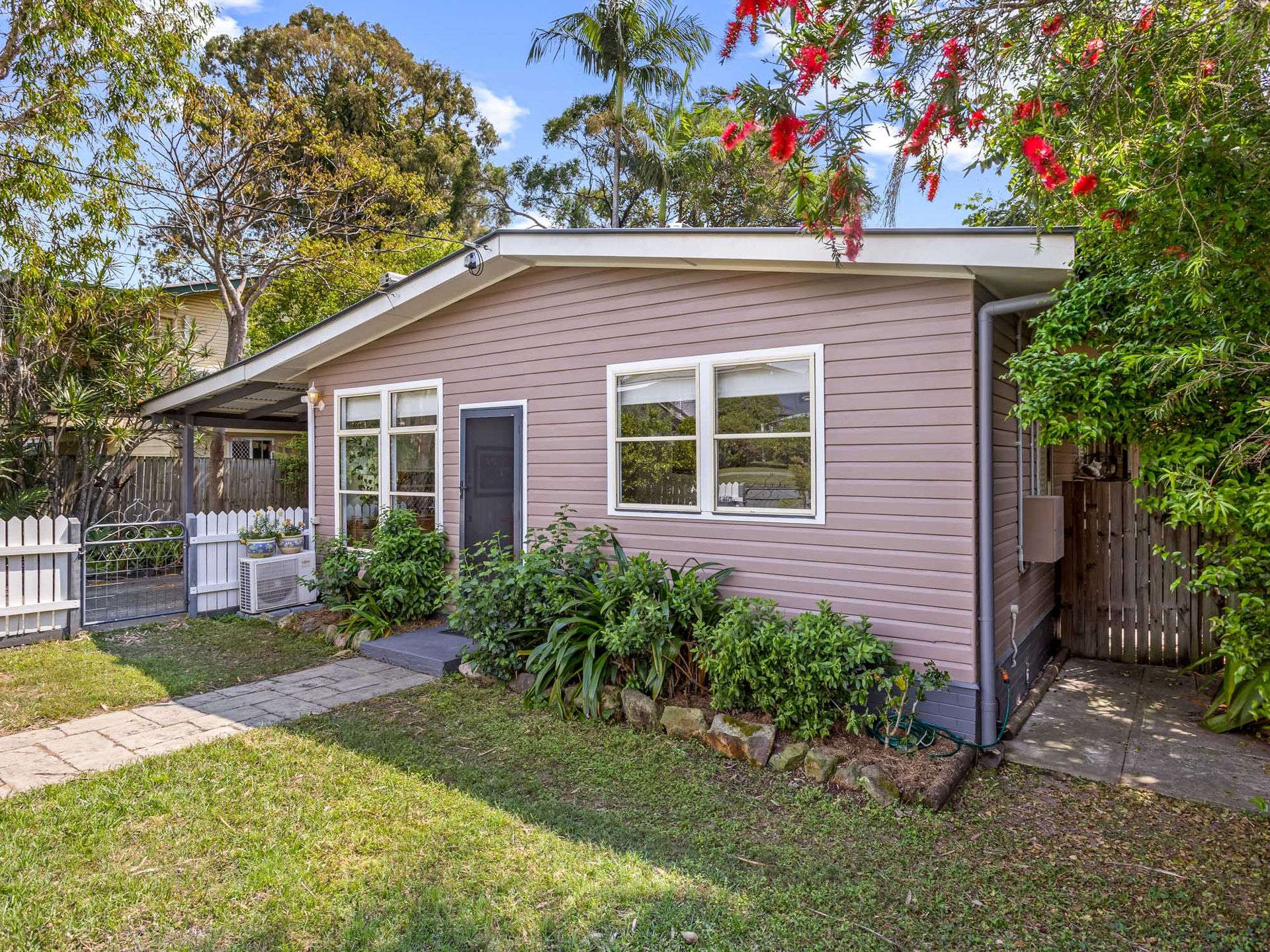 3 Sanicle Street, Bald Hills