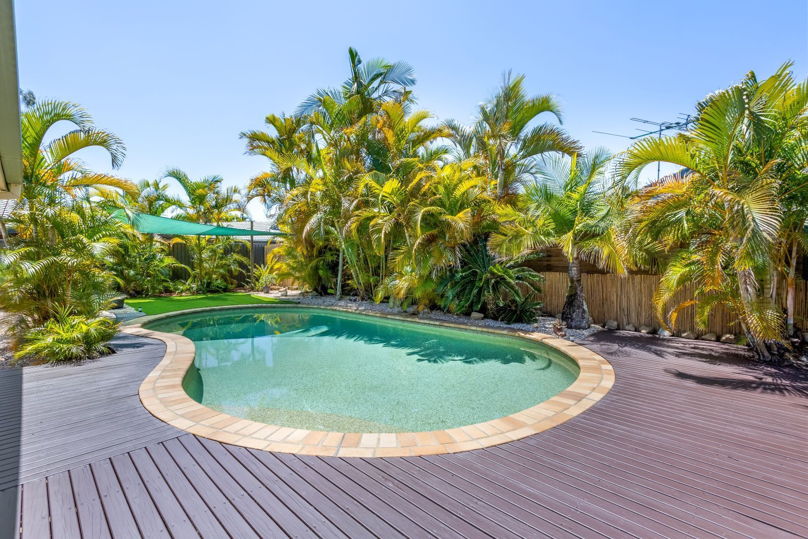 3 Sanicle Street, Bald Hills