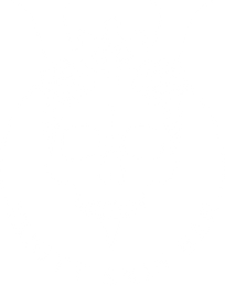 Vanity Skin Bar Logo