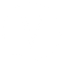 Vanity Skin Bar Logo
