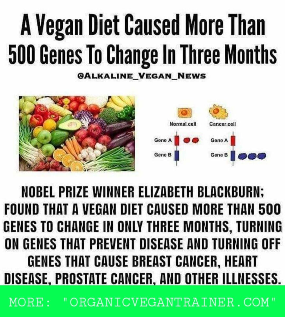 A vegan diet caused more than 500 genes to change in three months