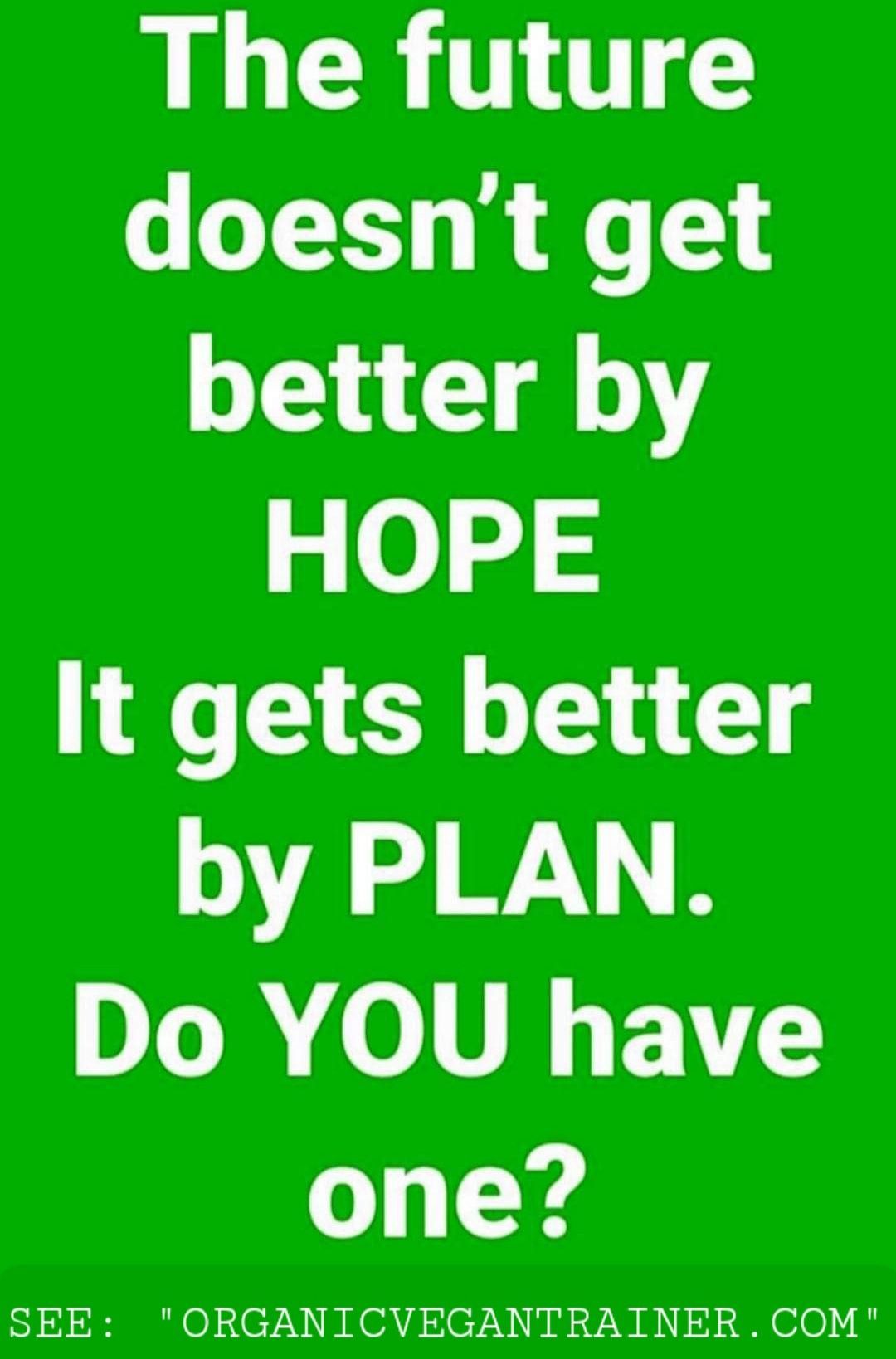 The future does n't get better by hope it gets better by plan . do you have one ?