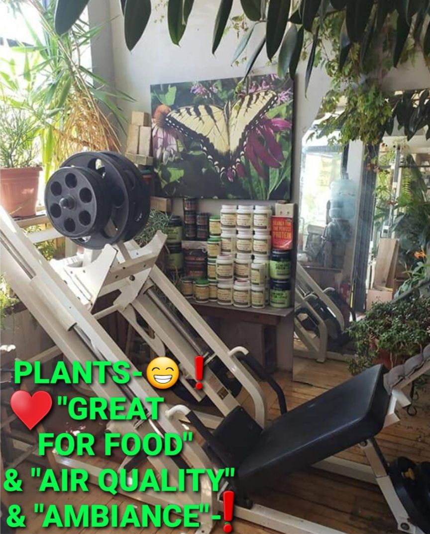 Plants are great for food and air quality and ambiance