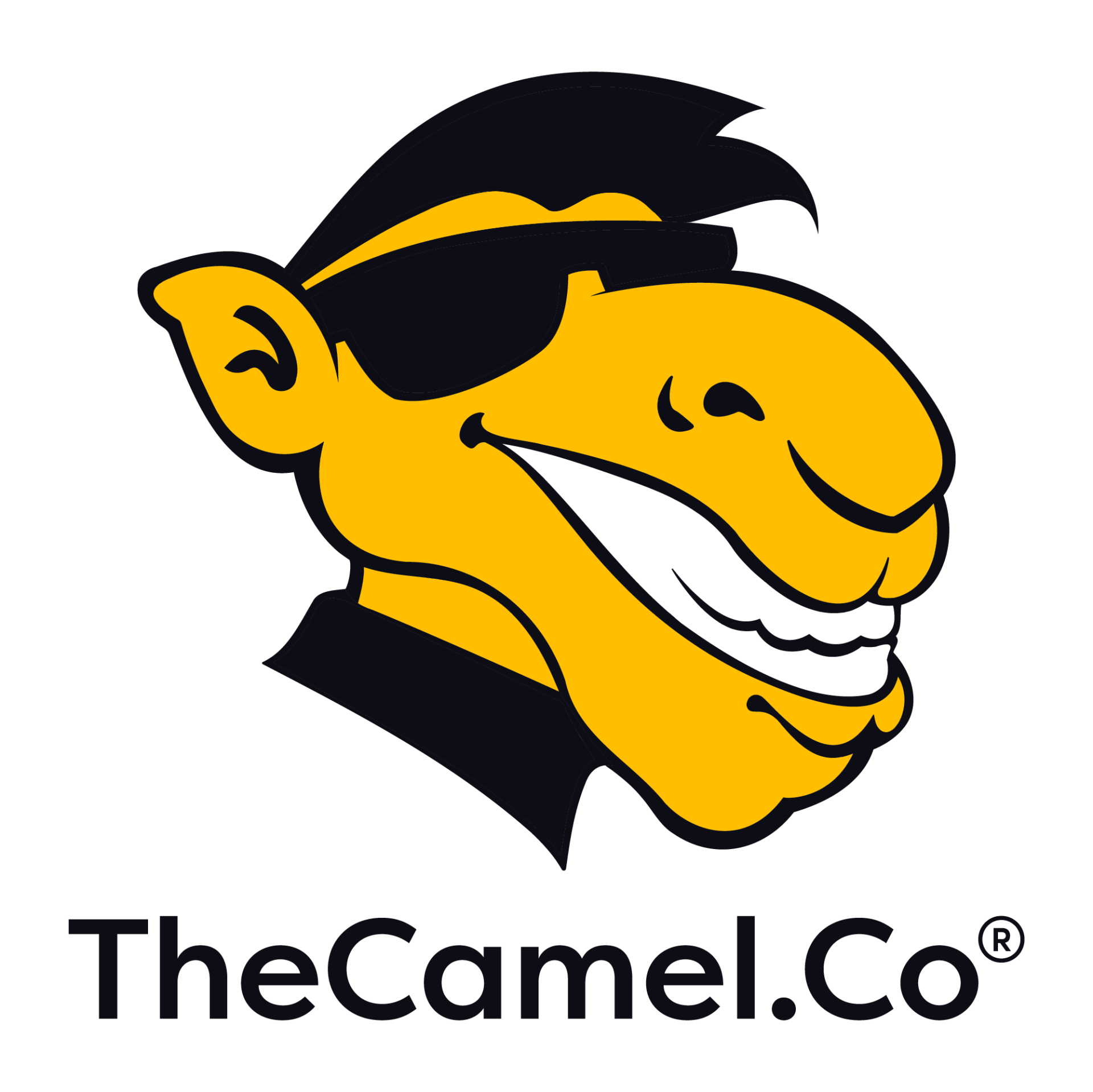 the camel logo