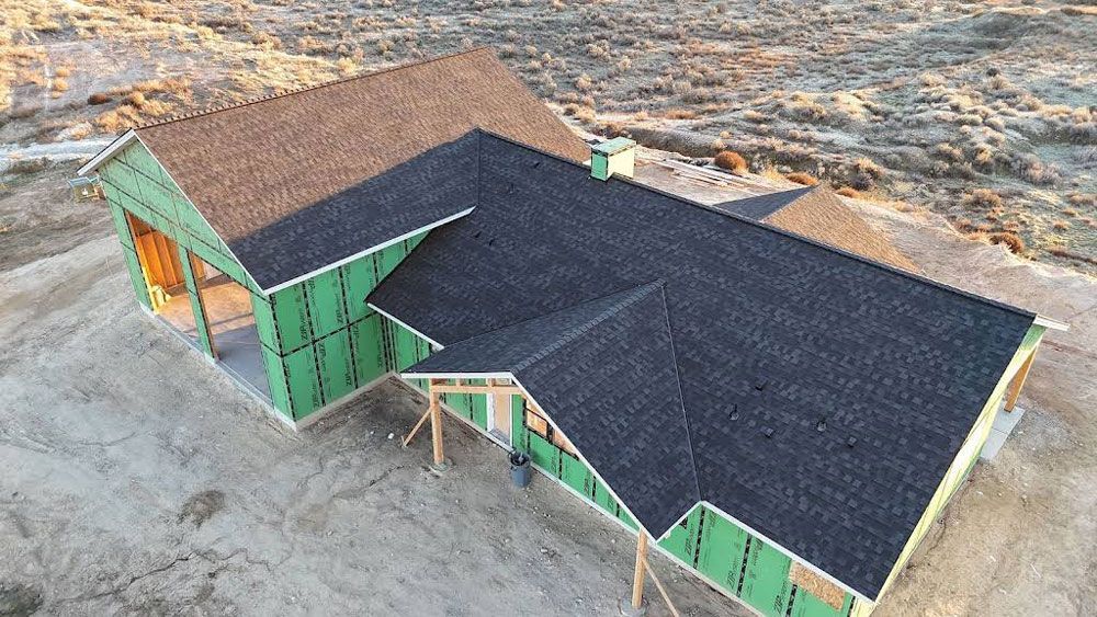 Green Shed Highlighting Roof