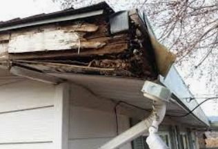 wood rot repair needed on house trim