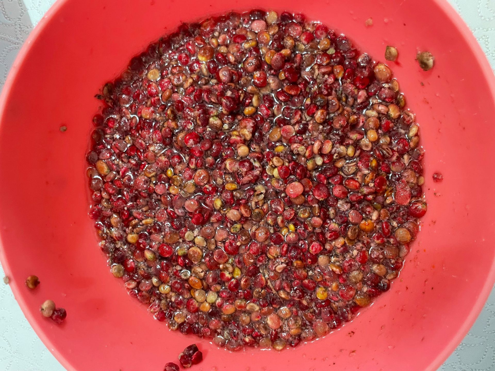 Sumac Seeds for Turkish Dolmas