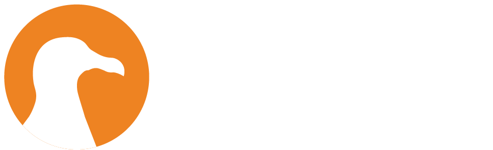 Logo Meeuw video & Design Maarten Smit Enschede