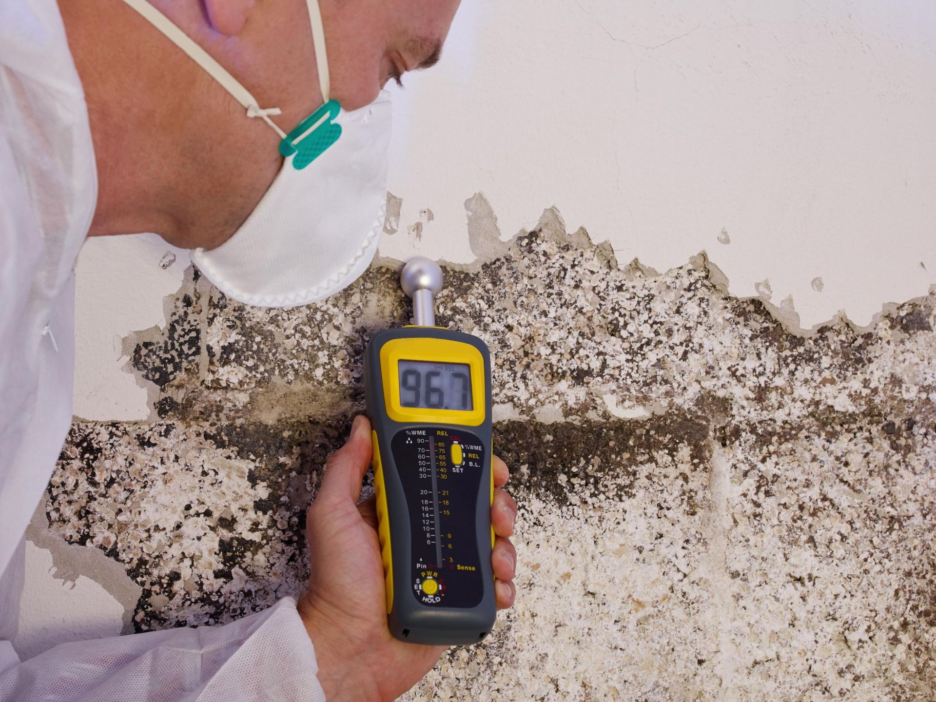 A person wearing a protective mask uses a moisture meter on a wall with peeling paint and visible mold growth.