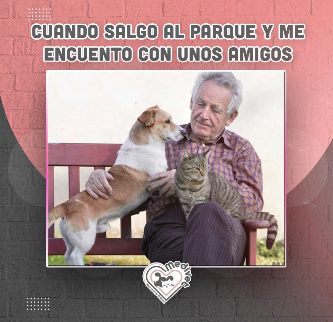 Gato atigrado marrón claro con ojos verdes y marcas blancas, descansando sobre una superficie arenosa cerca de un poste metálico.