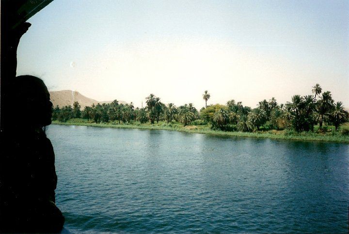 A silhouette of a person looking out over a body of water