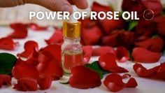 A person is pouring rose oil into a bottle surrounded by rose petals.