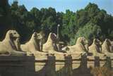 A row of sand sculptures of lions in a park.