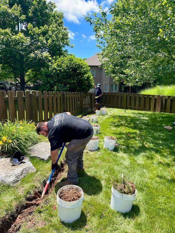 A man is digging a hole in the grass in a backyard.