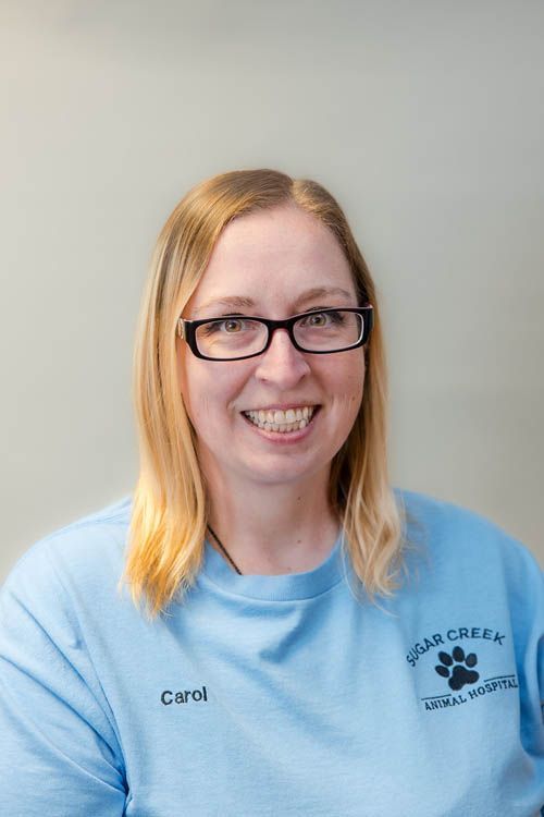 A group of people standing in front of a sign for sugar creek animal hospital