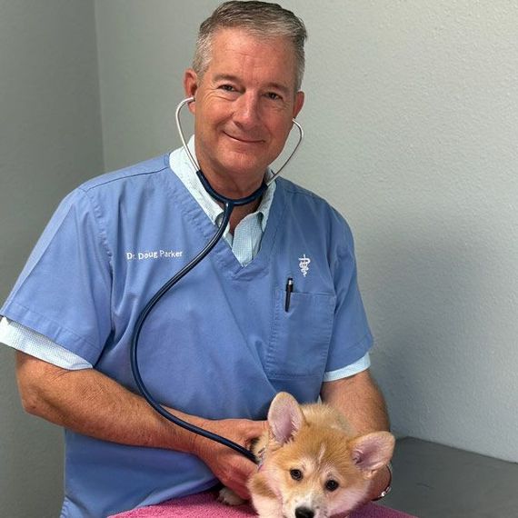 A man with a stethoscope around his neck is holding a small dog
