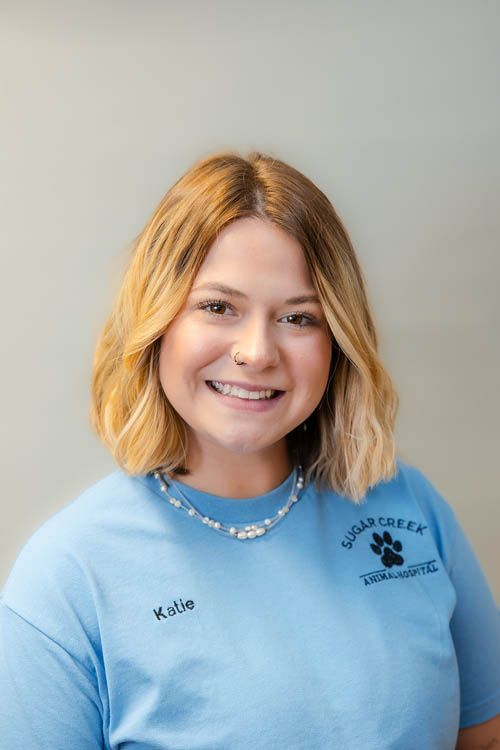 A group of people are posing for a picture with their dogs.