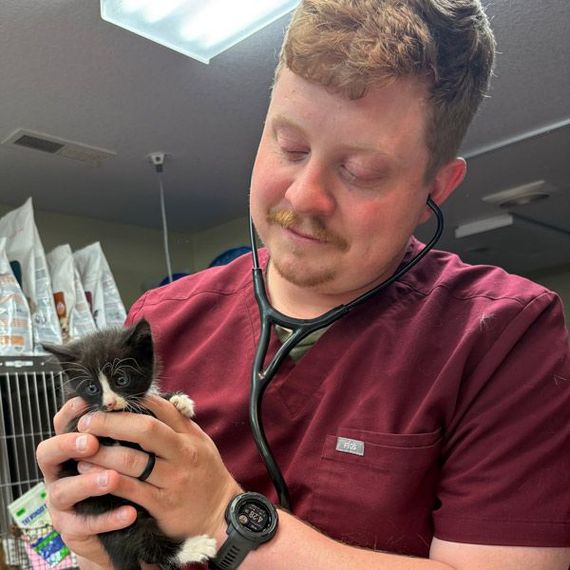 A man holding a kitten with a stethoscope around his neck