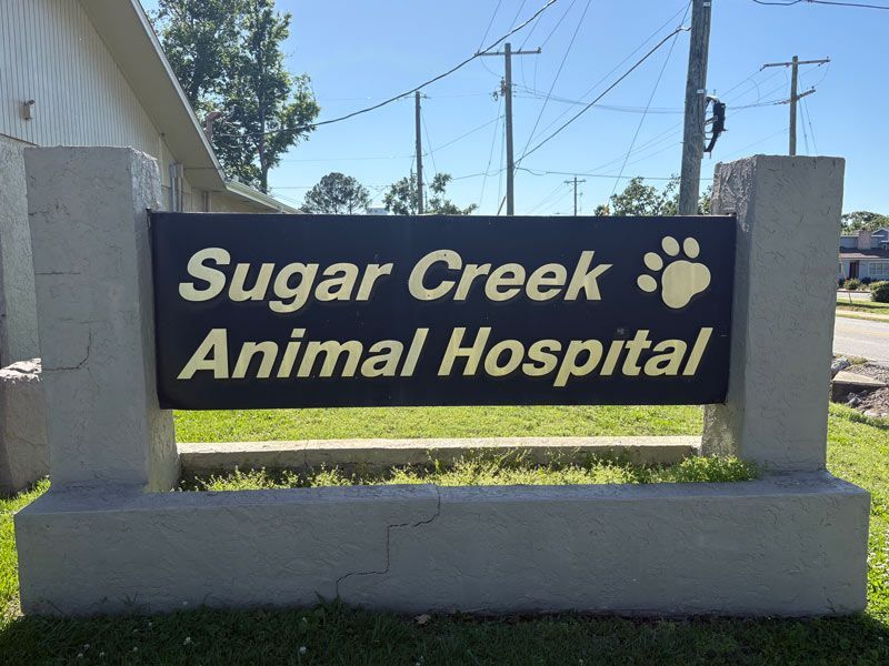 A group of people standing in front of a sign for sugar creek animal hospital