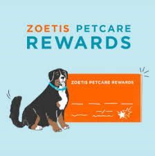 A dog is sitting next to a card that says zoetis petcare rewards.