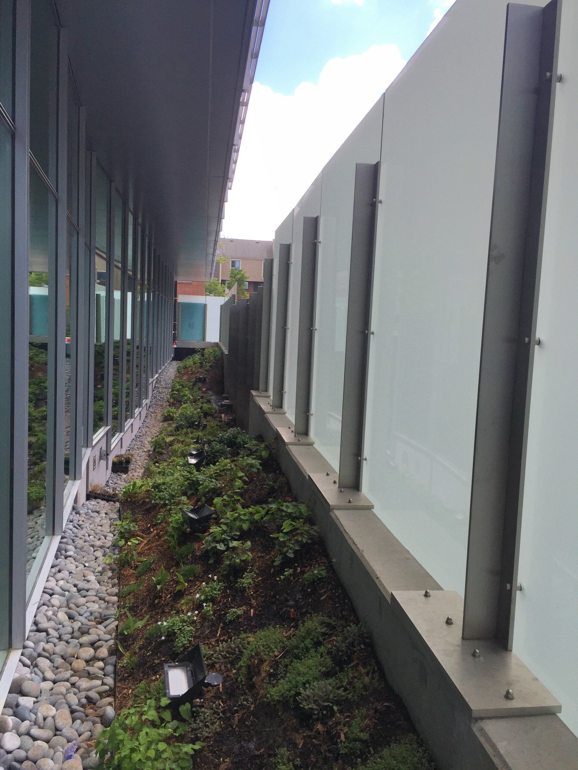 A row of plants growing on the side of a building next to a fence.