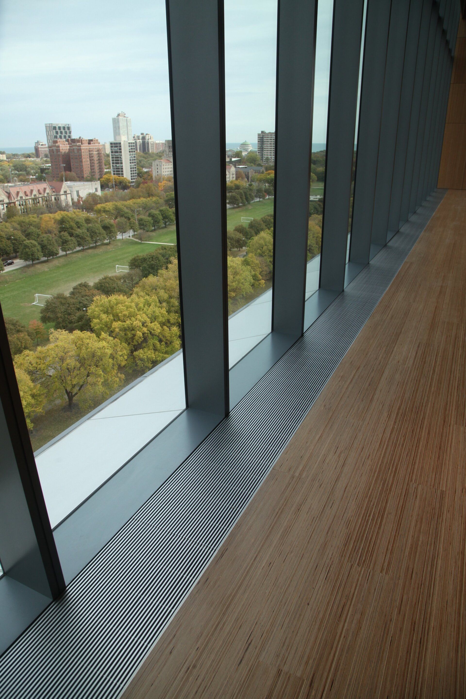 A large window with a view of a park and trees