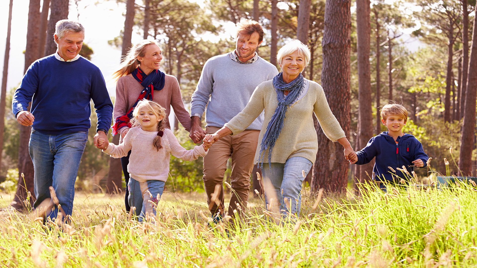 A family is walking through a forest holding hands.
