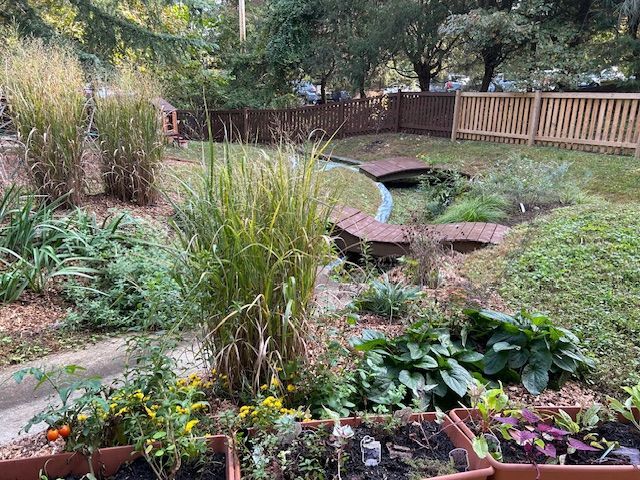 Our outdoor classroom has tall ornamental grasses, a small wooden bridge over a water feature, and a wooden fence.