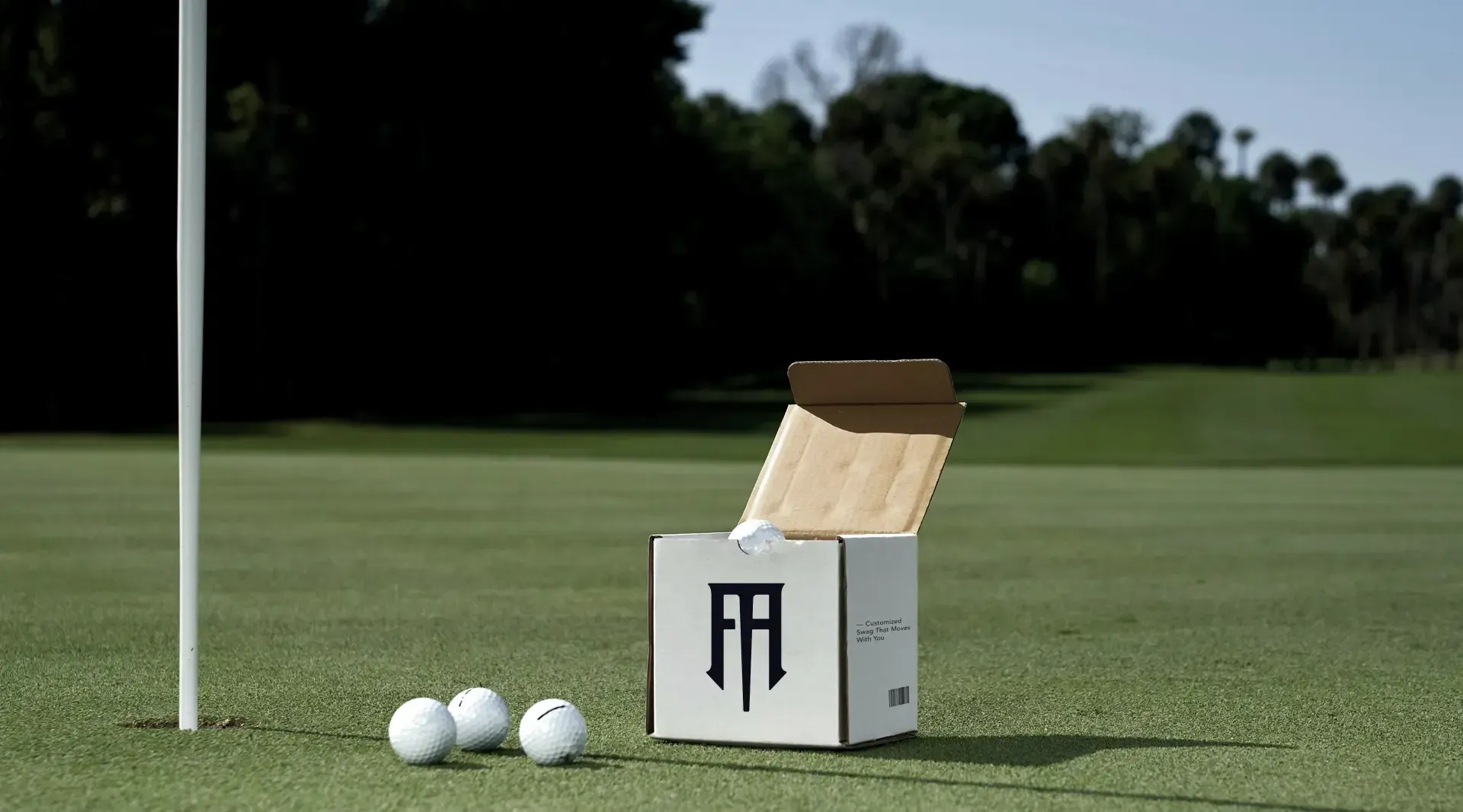 Shop FA Merch box