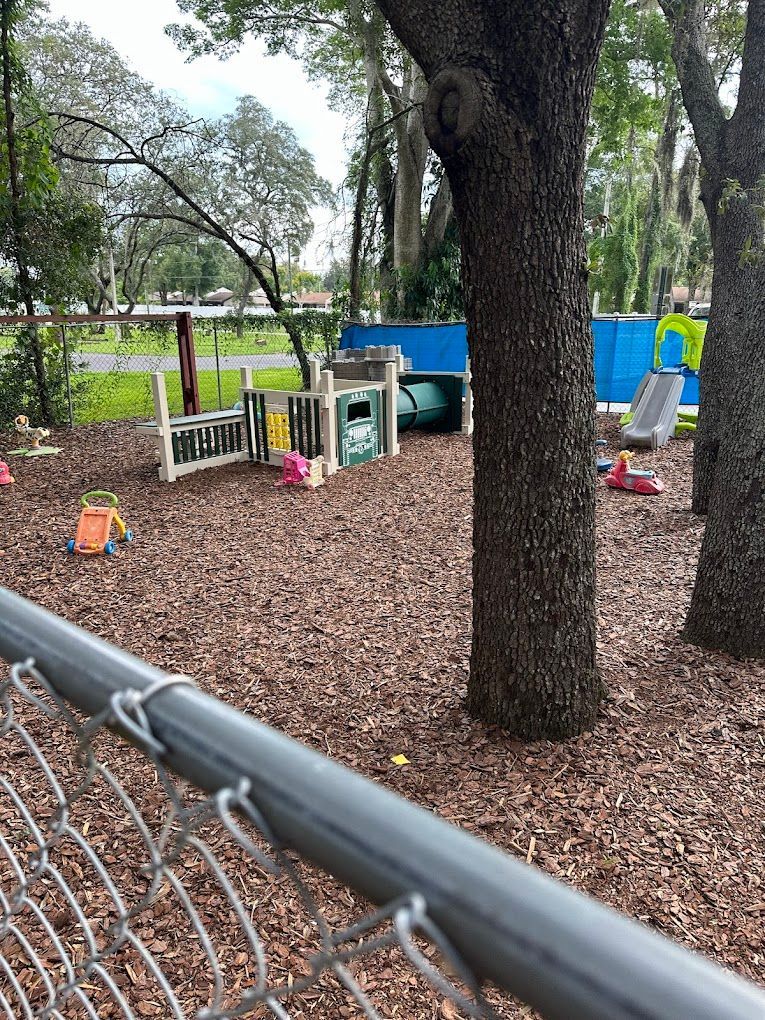 A chain link fence surrounds a playground in a park.