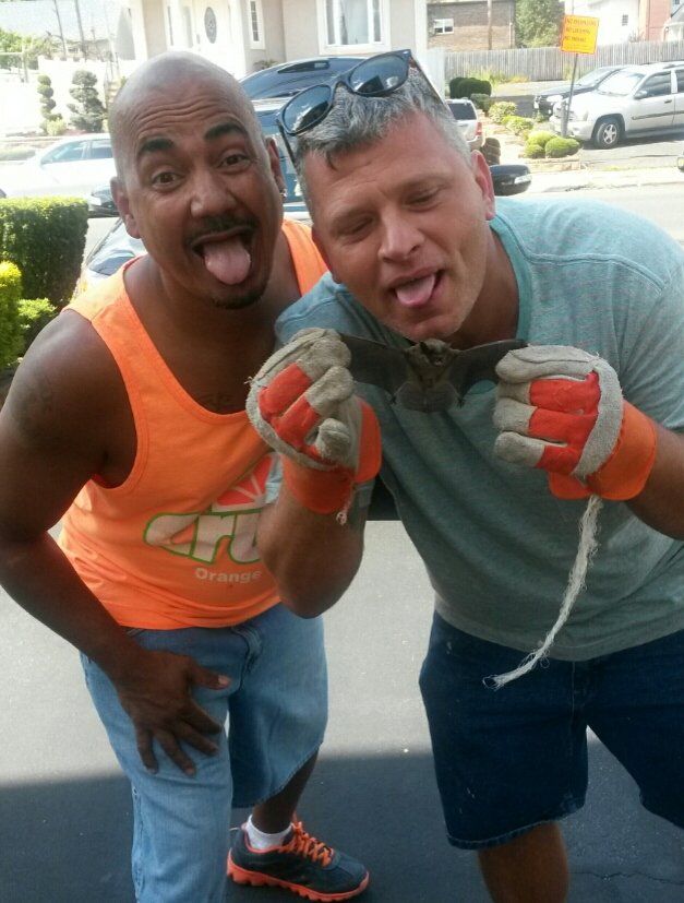 Superb Pest Control Gallery