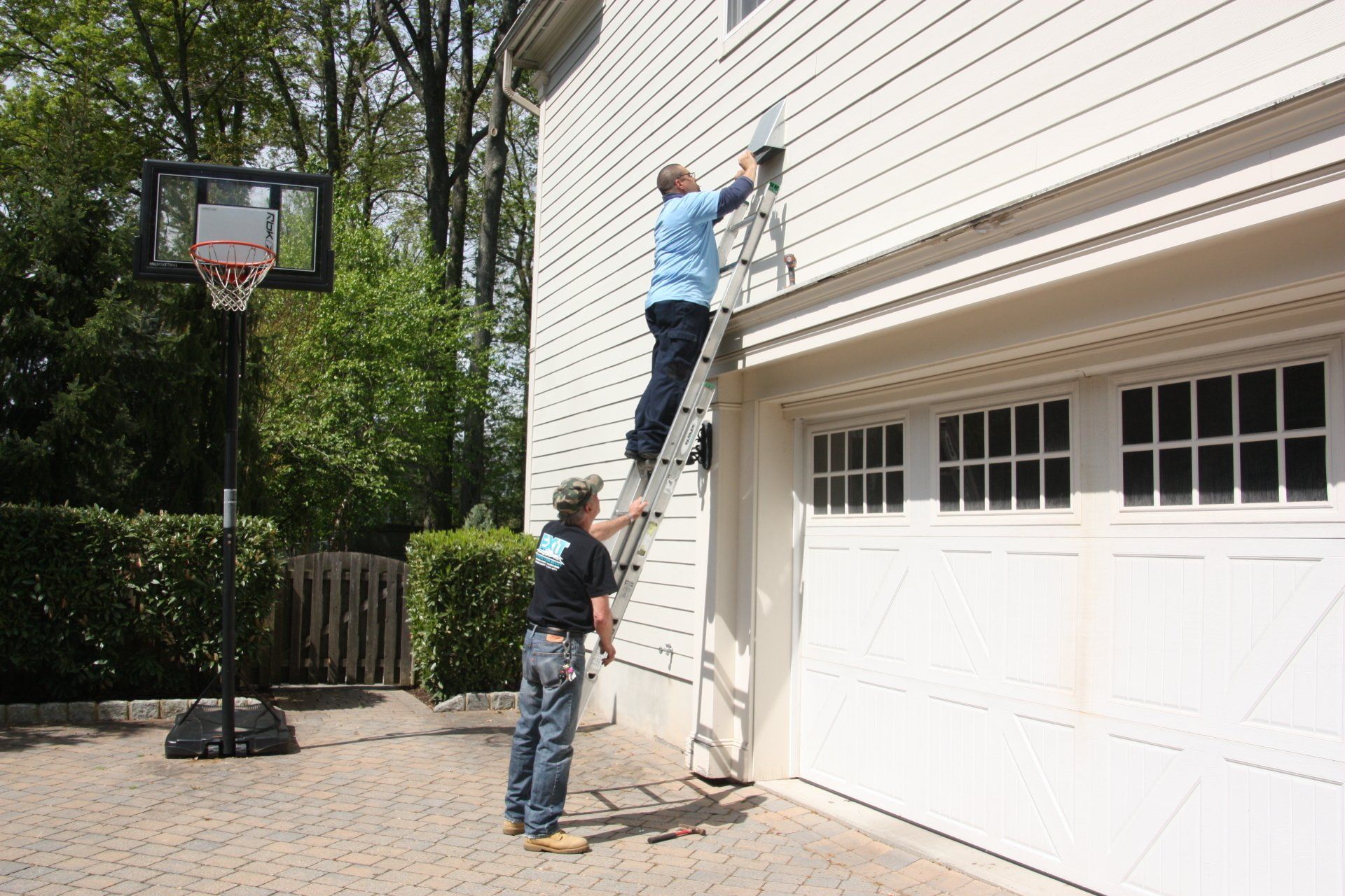 Superb Pest Control Gallery