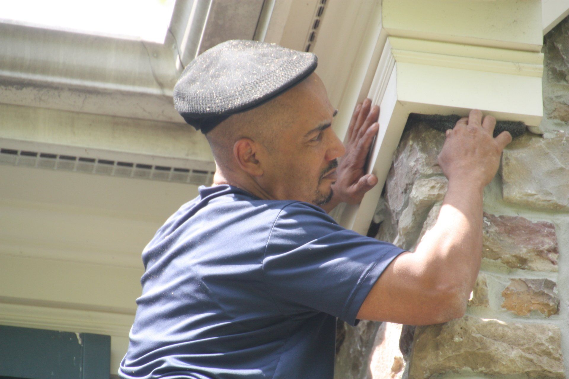 Superb Pest Control Gallery