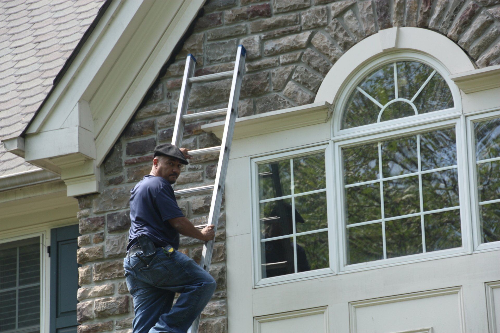 Superb Pest Control Gallery