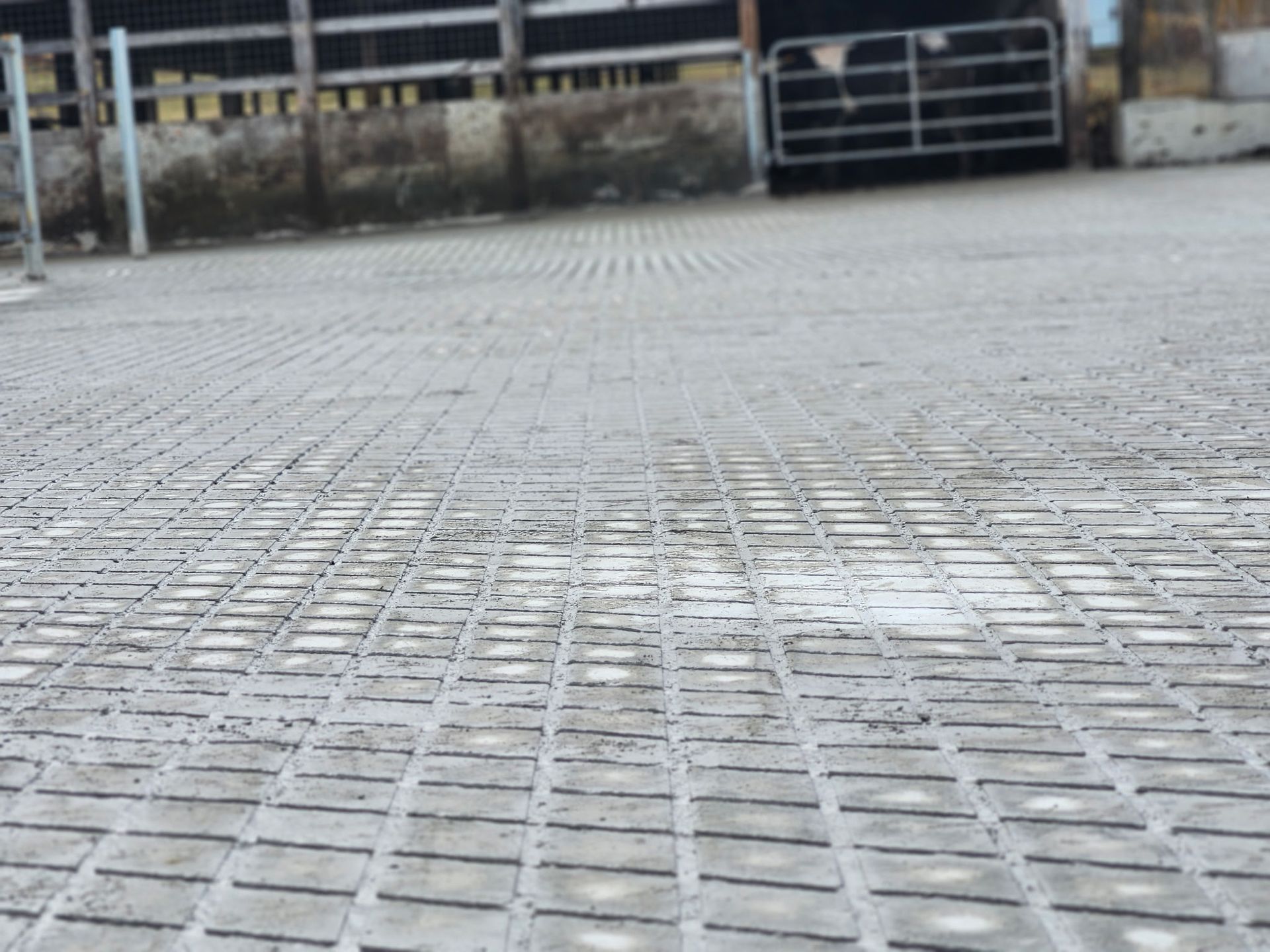 Dairy farm concrete grooving New Jersey