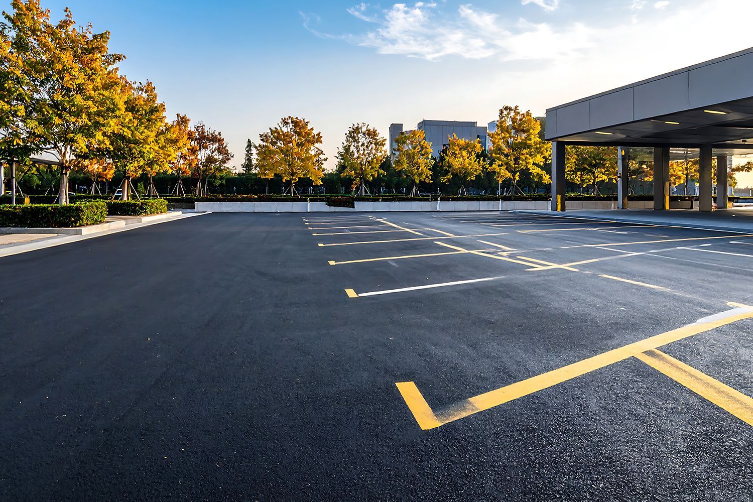 Empty asphalt parking lot with yellow painted lines; trees in autumn colors and a building are in the background.