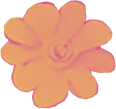 drawing of an orange flower