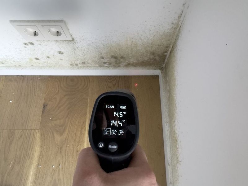 Handheld digital thermometer aimed at a moldy ceiling corner near an electrical outlet and wood floor