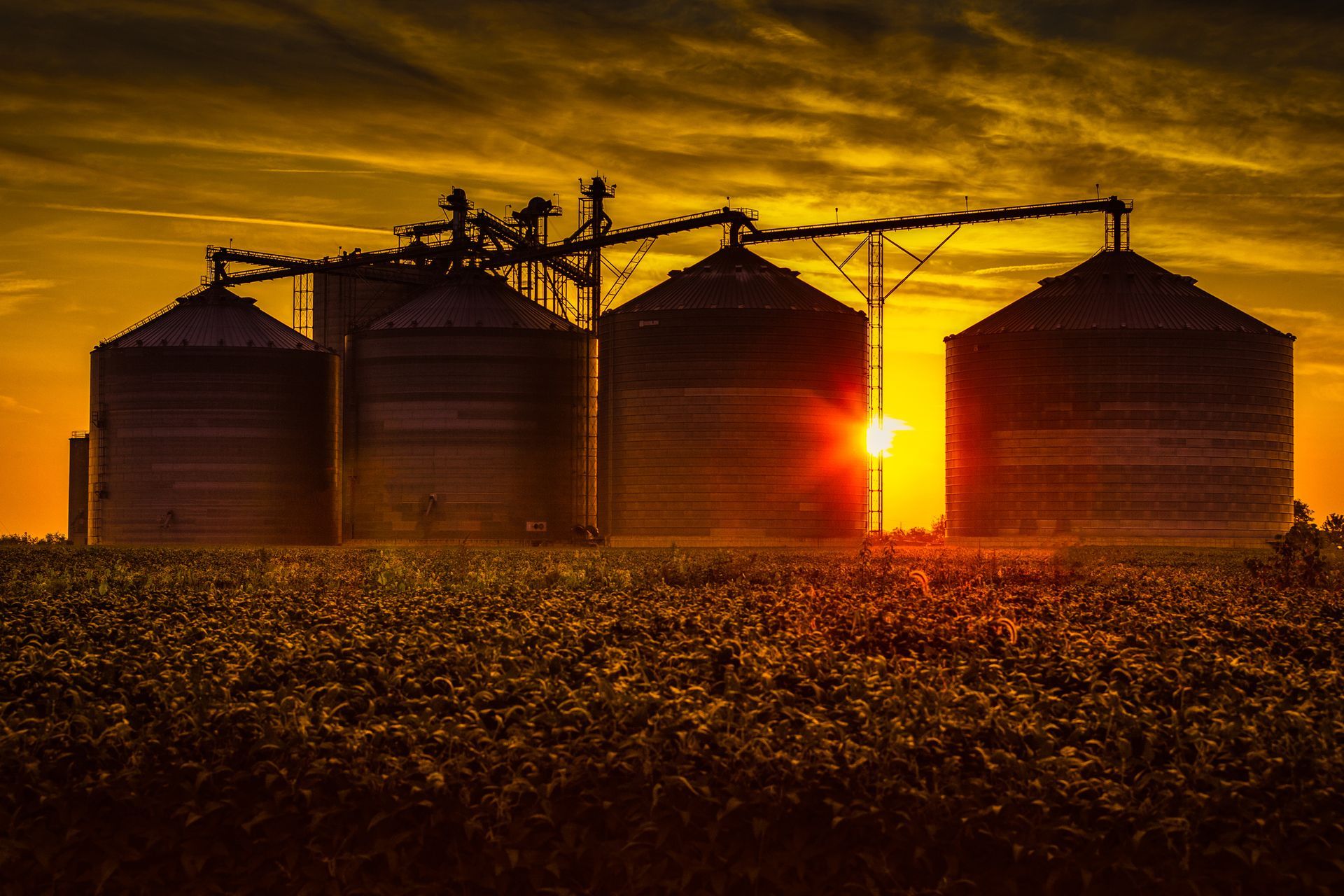 Agriculture Electric | Commercial & Residential Electrical Services in Buffalo, MN