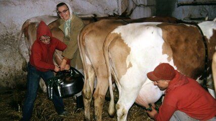 Milking Cows, Old Movie Transfers in Lancaster, PA