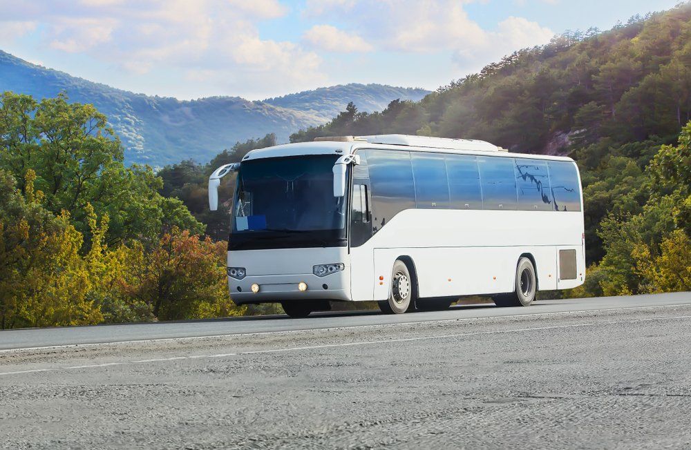 White Bus for Airport Transfer — Transport in Newcastle