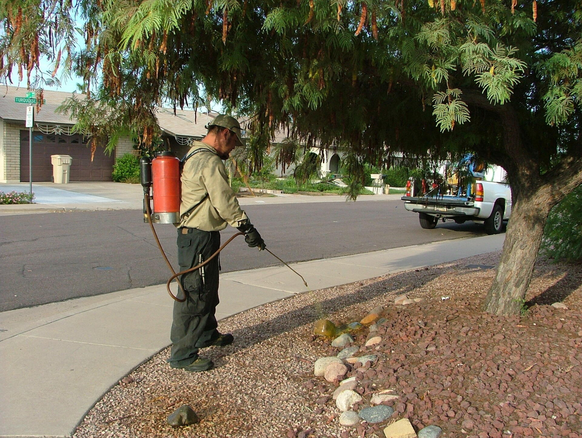 A technician spraying for weed control in Phoenix, AZ