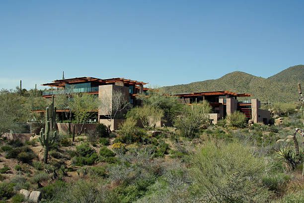 Modern desert architecture home surrounded by cactus and native plants in Arizona landscape.