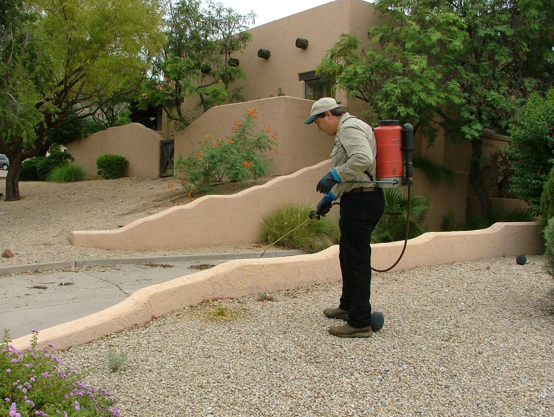 Gardener doing a professional Weed Control Service in Tempe, AZ.